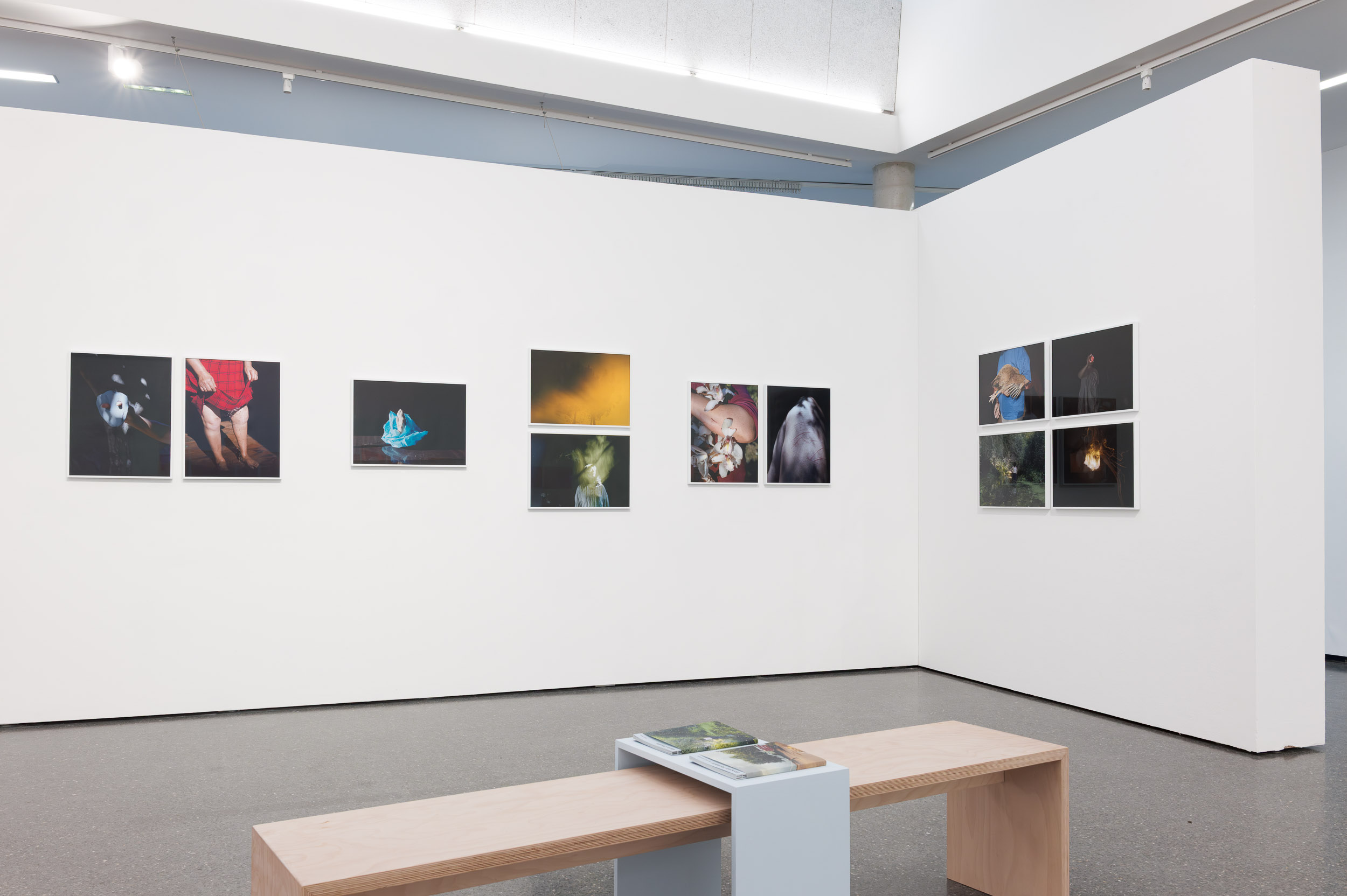Project Groundswell exhibition at Fotohof, Salzburg